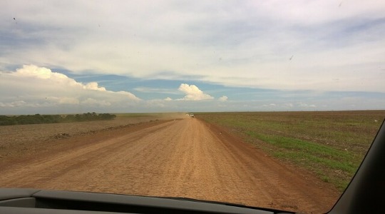 Paisagem de estrada do Cerrado