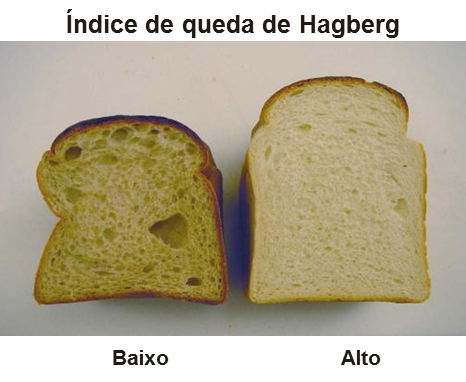 Índice de queda de Hagberg