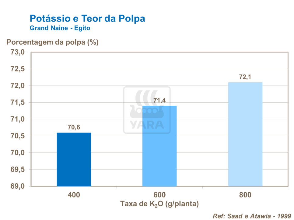 Potássio e teor da polpa