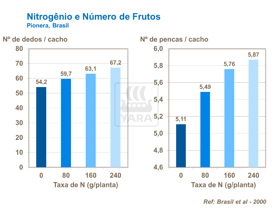 Nitrogênio e número de frutos