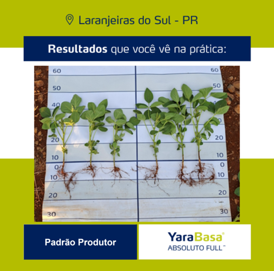 Resultado YaraBasa FULL