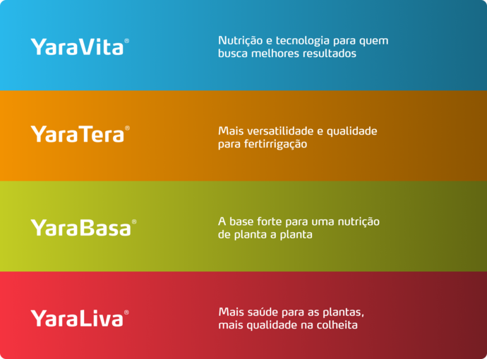 Imagem de pack de produtos do programa nutricional do Alface
