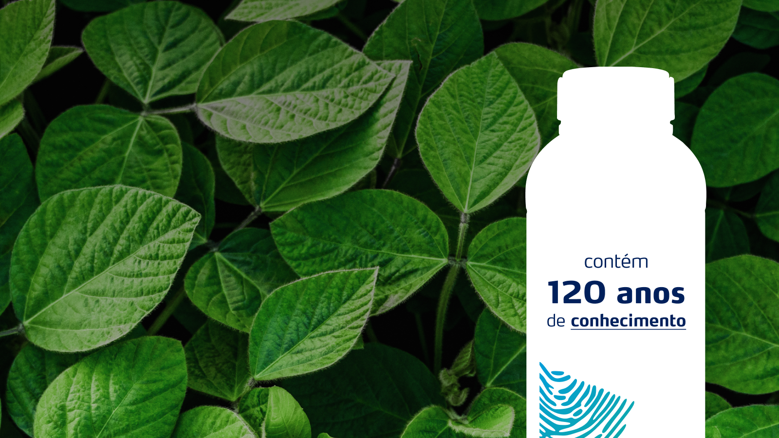 Bioinsumos e Foliares é Yara