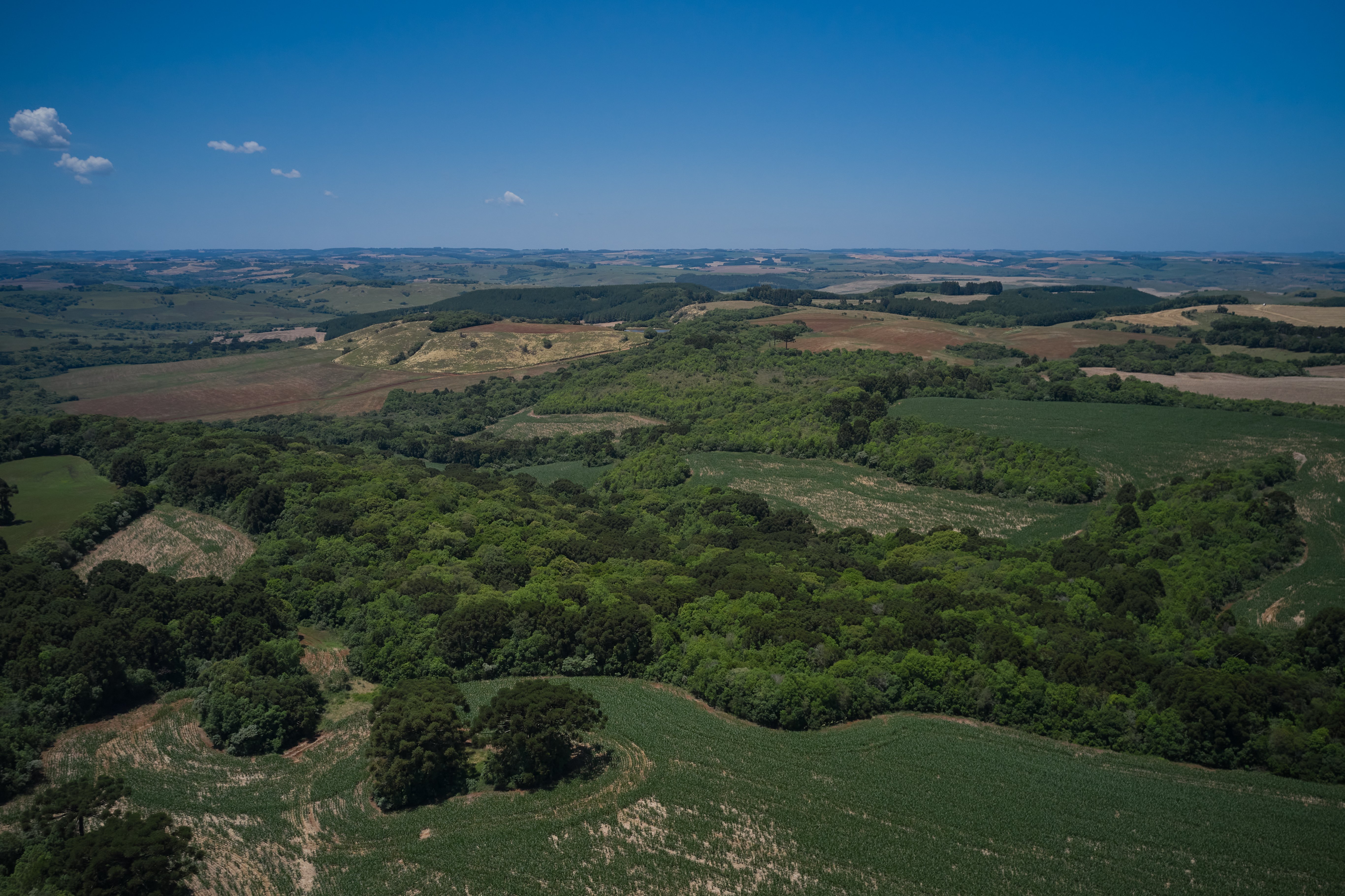 Sustentabilidade