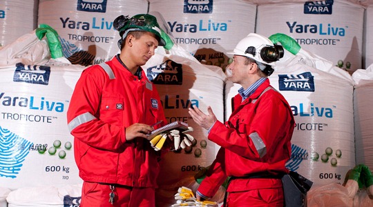 Operários no armazém de fertilizantes
