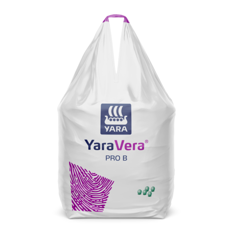 YaraVera AMIDAS PRO B