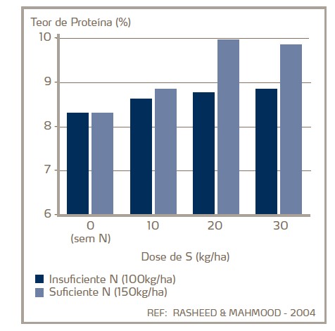 Forragem de Milho Enxofre
