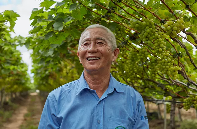 Produtor sorrindo em meio às uvas