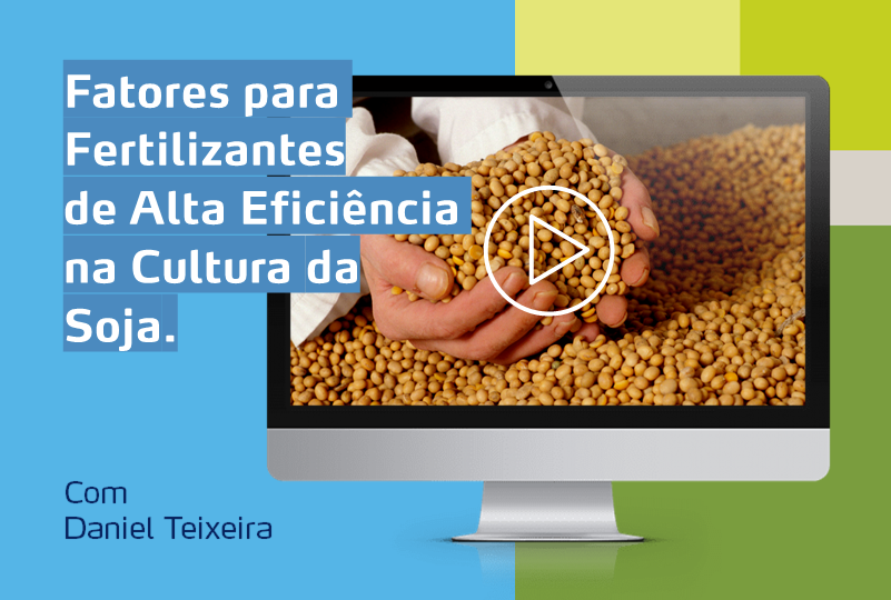 card de pessoa segurando grãos de soja