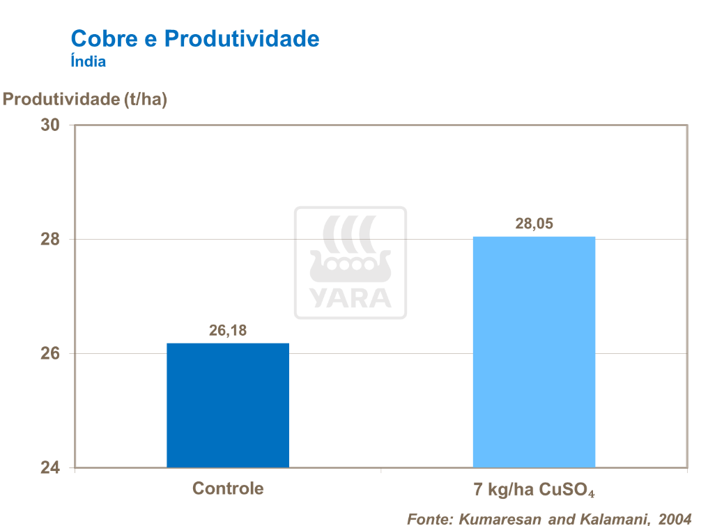 Cobre e produtividade