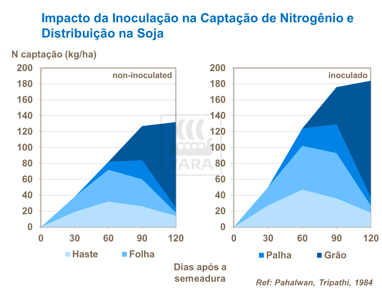 Impacto da inoculação na captação de Nitrogênio