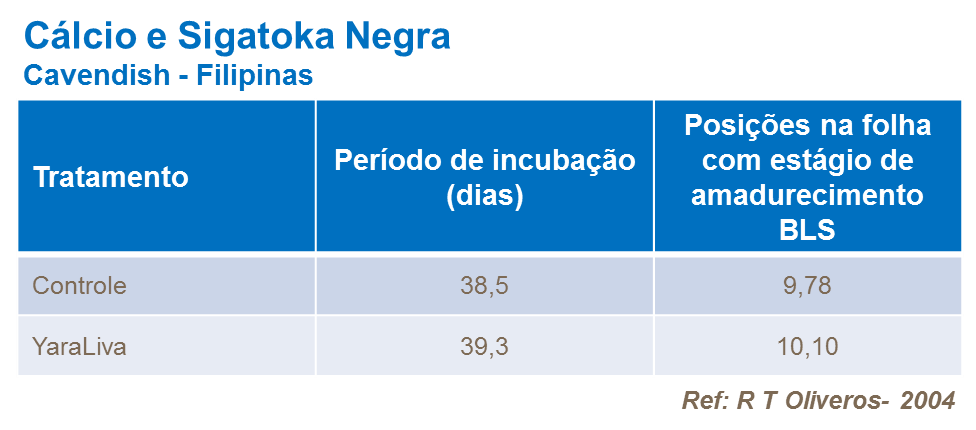 Cálcio e Sigatoka Negra