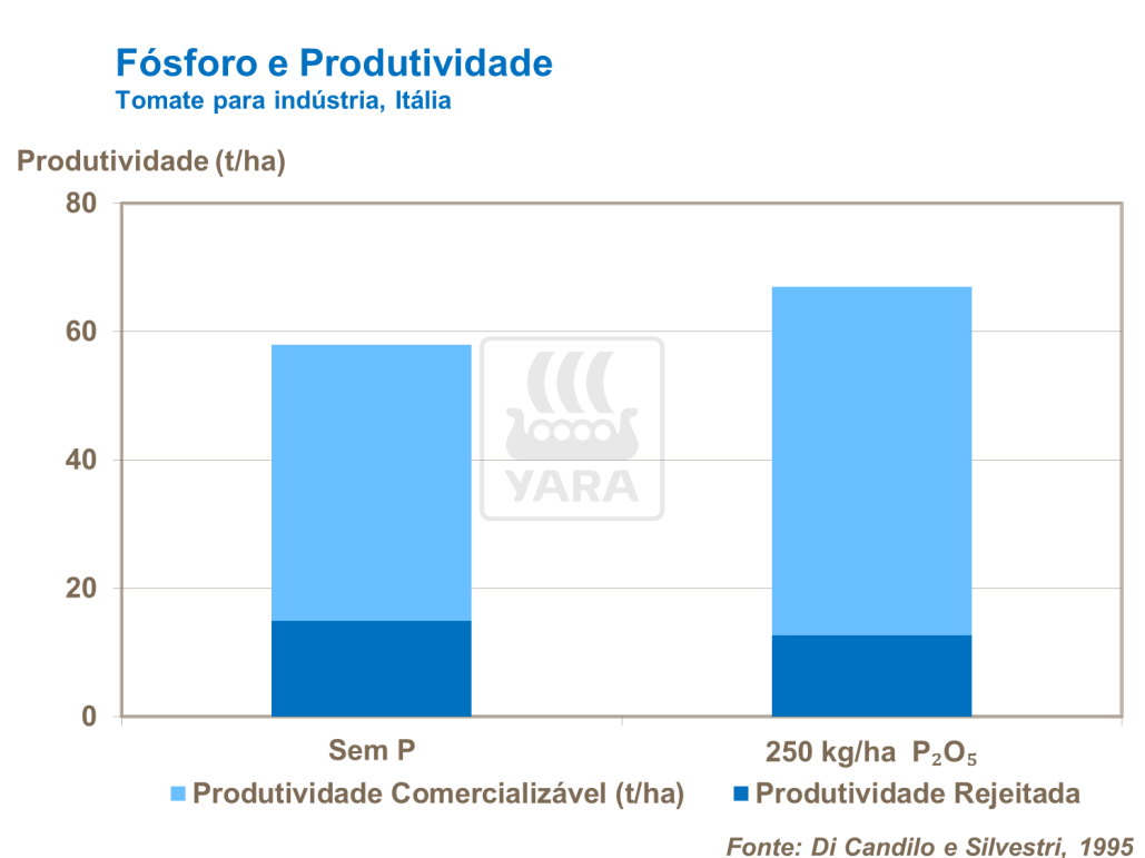 Fósforo e produtividade