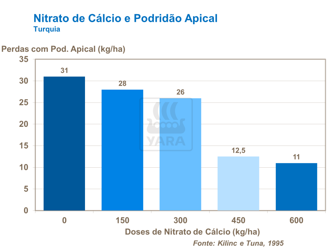 Nitrato de cálcio e podridão apical