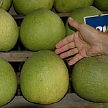 Pomelo