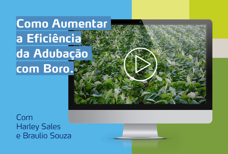 monitor com foto de soja