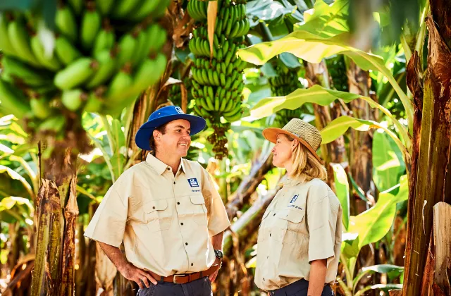 Homem e Mulher com uniformes da Yara Brasil e bananeiras ao fundo Yara observando bananeiras