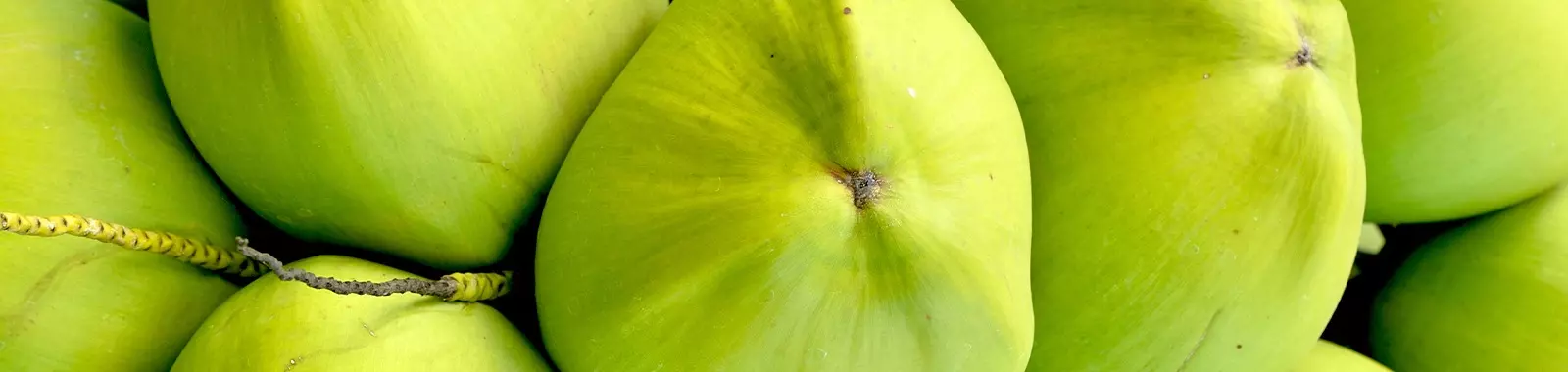 Cocos verdes