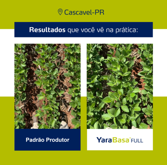 Resultado YaraBasa FULL