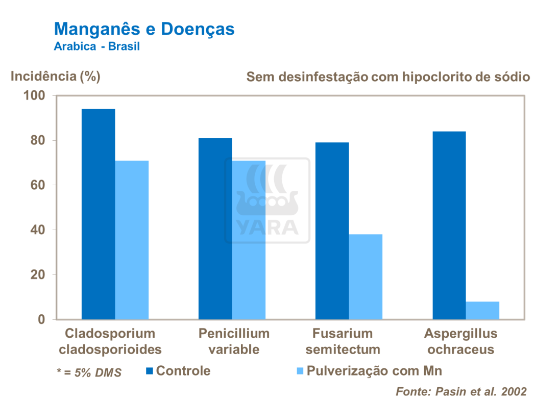 Manganês e doenças