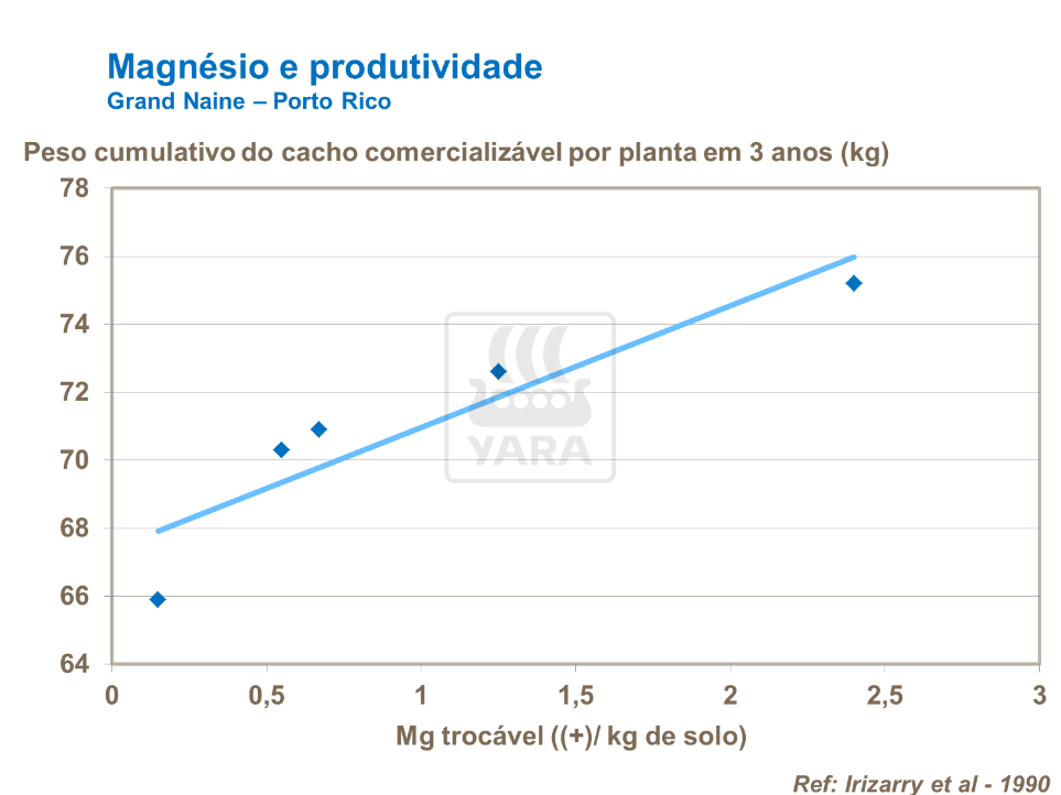 Magnésio e produtividade