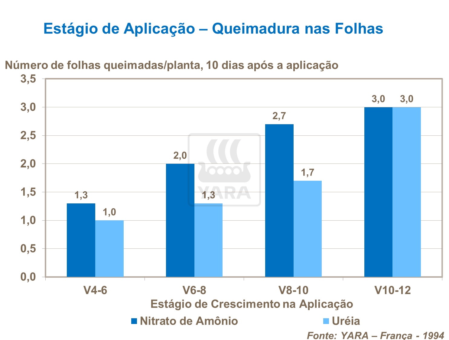 Queimaduras nas folhas