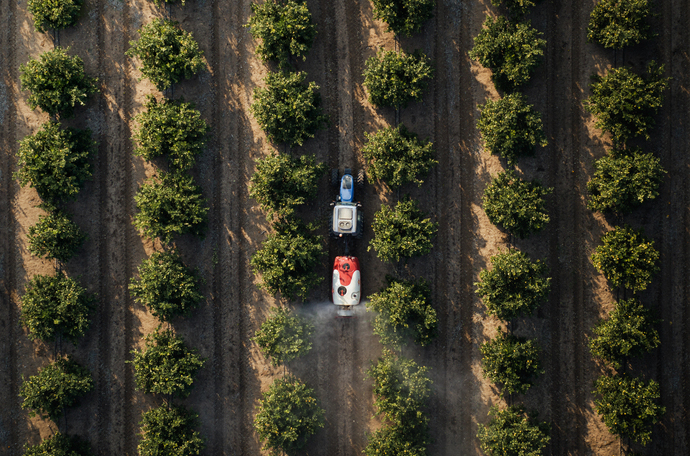 foliares e bioinsumos