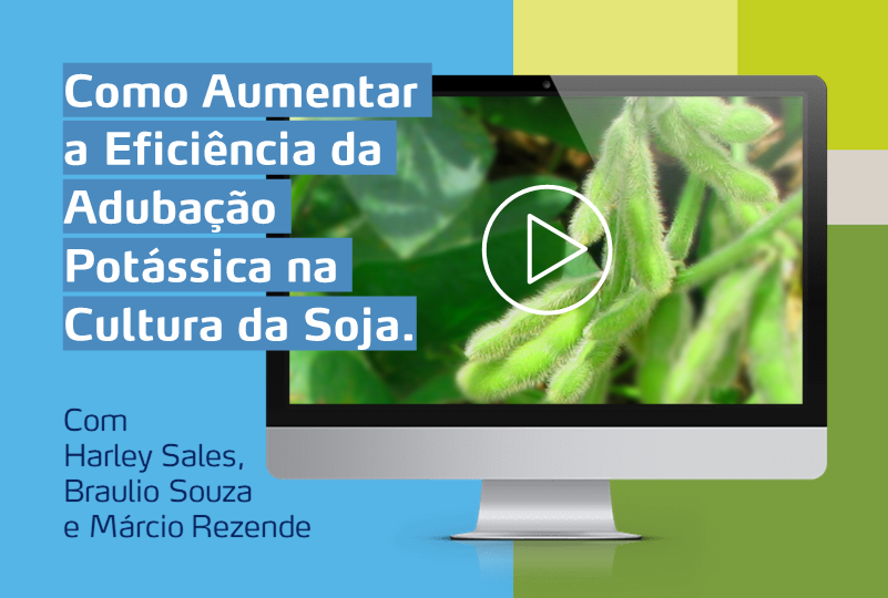 monitor com foto de soja