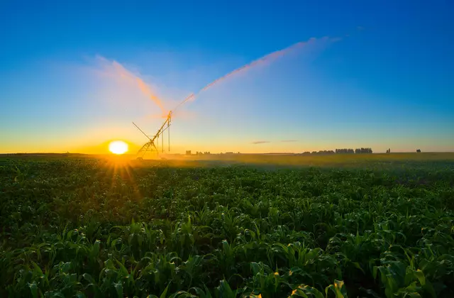 Pôr do Sol no Campo