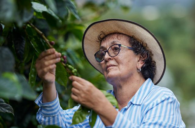 Produtora colombiana de café, María Esperanza Fajardo