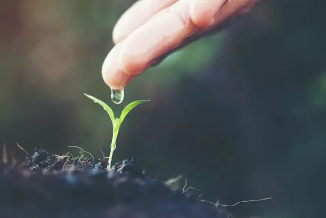 Tipos de Irrigação Utilizados na Agricultura