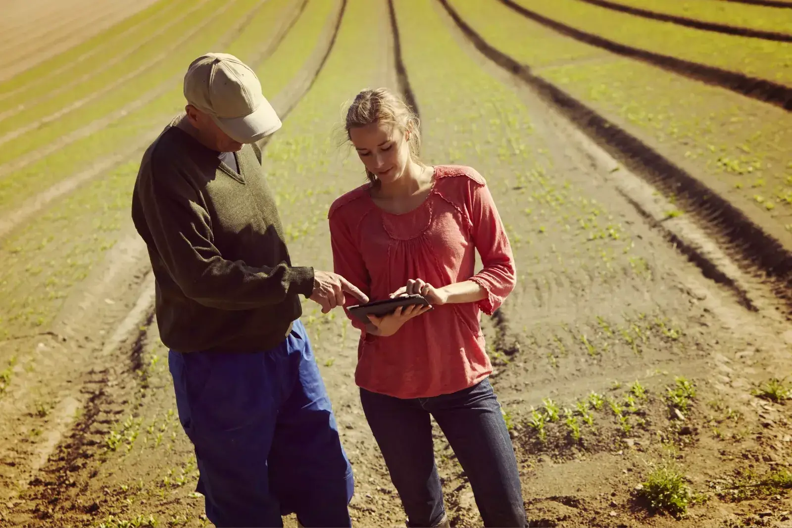 Produtores conversando no campo com tablet na mão