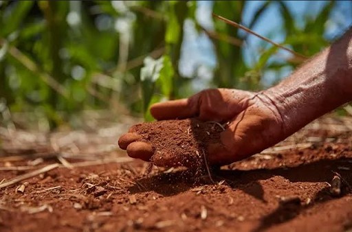 Mudanças climáticas e agricultura: como a crise do clima afeta a produção no campo