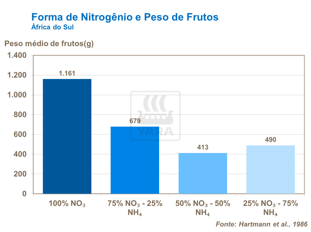 Forma de nitrogênio