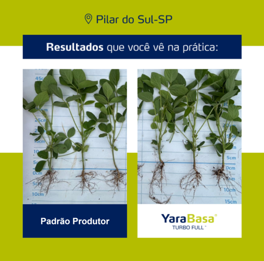 Resultado YaraBasa FULL