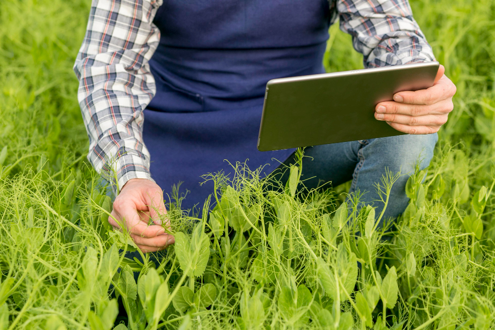 Por Que Investir Na Tecnologia Digital Para Agricultura?
