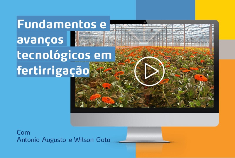 Banner webinar fertirrigação