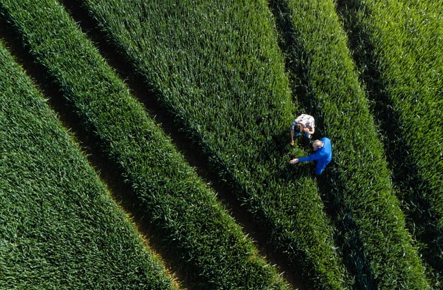 Imagem de cima duas pessoas no campo