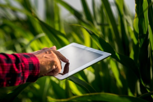 Inovações Tecnológicas no Campo: As Transformações na Agricultura 4.0