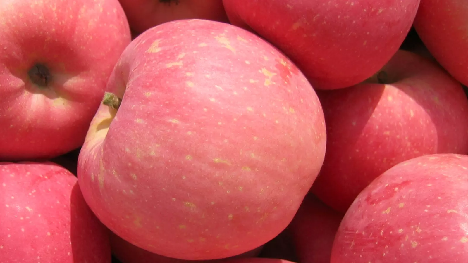 Maçãs vermelhas