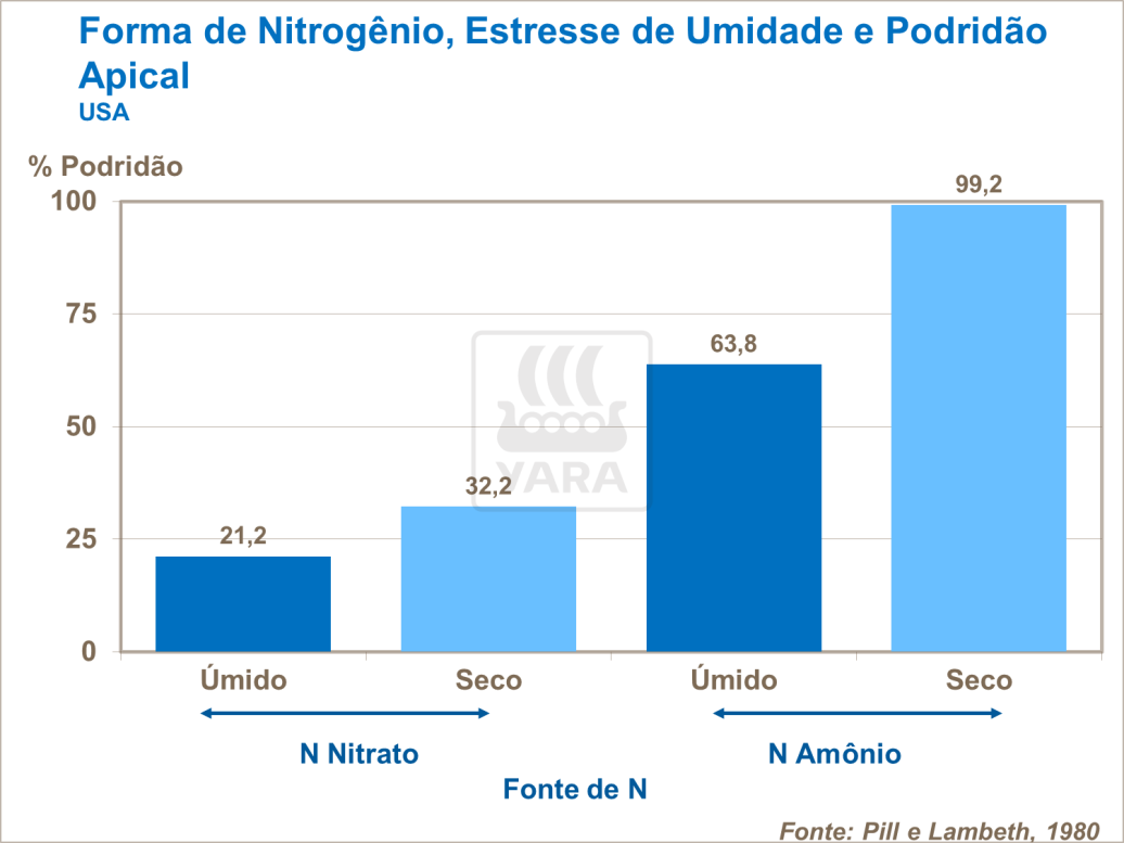 Forma de nitrogênio