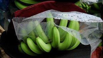 Banana - cálcio