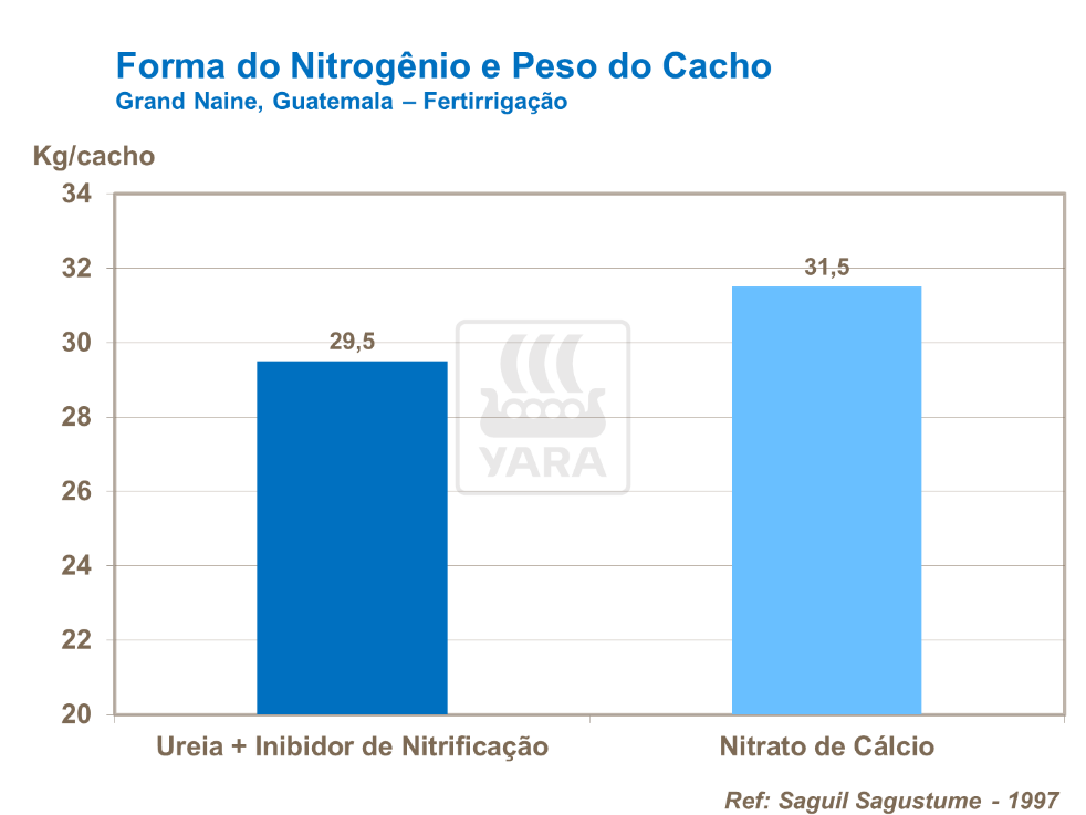Forma do nitrogênio