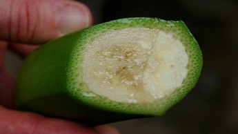 Corte de uma fruta madura Corte de uma fruta madura