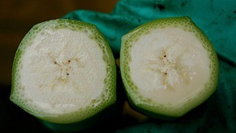 Corte transversal de duas bananas, a direita uma fruta mais madura. Corte transversal de duas bananas, a direita uma fruta mais madura.