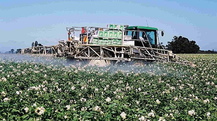 Pulverização Foliar na Batata Pulverização Foliar na Batata