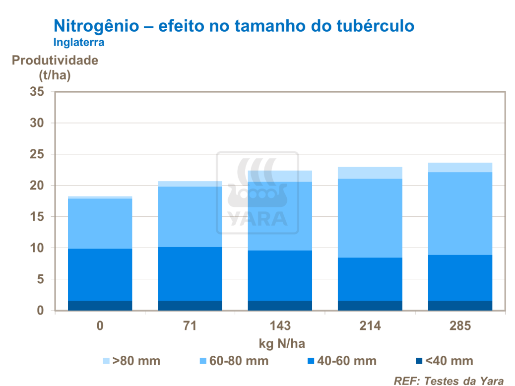 Nitrogênio