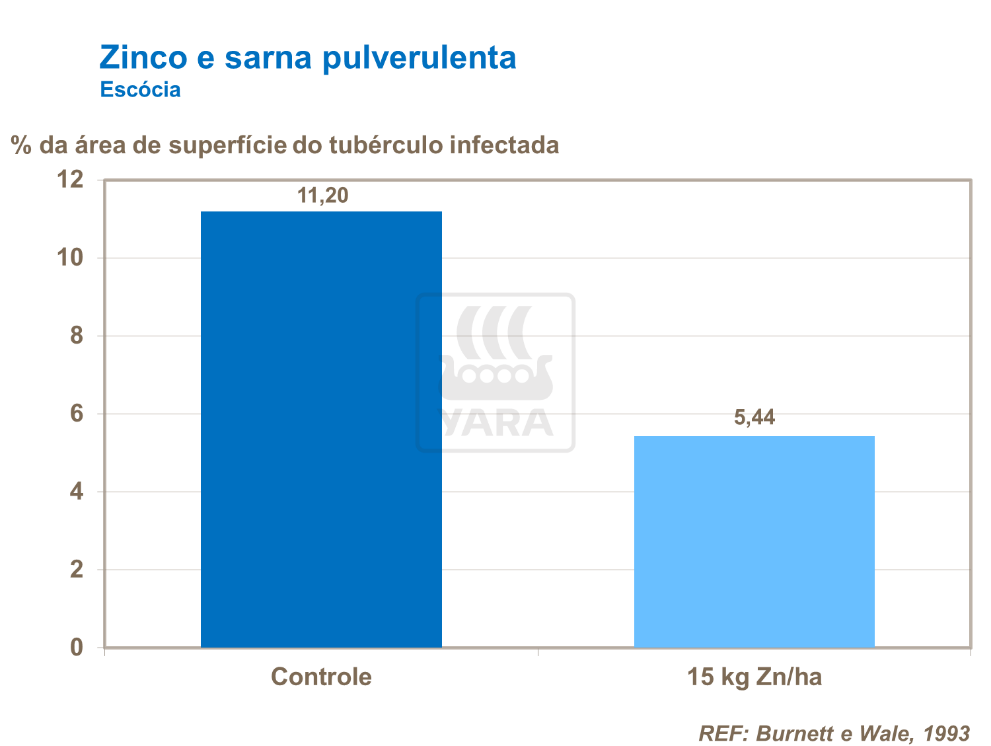 Zinco
