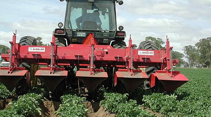 Fertilizantes aplicados na cobertura podem ser colocados durante a reconstrução de cumes Fertilizantes aplicados na cobertura podem ser colocados durante a reconstrução de cumes