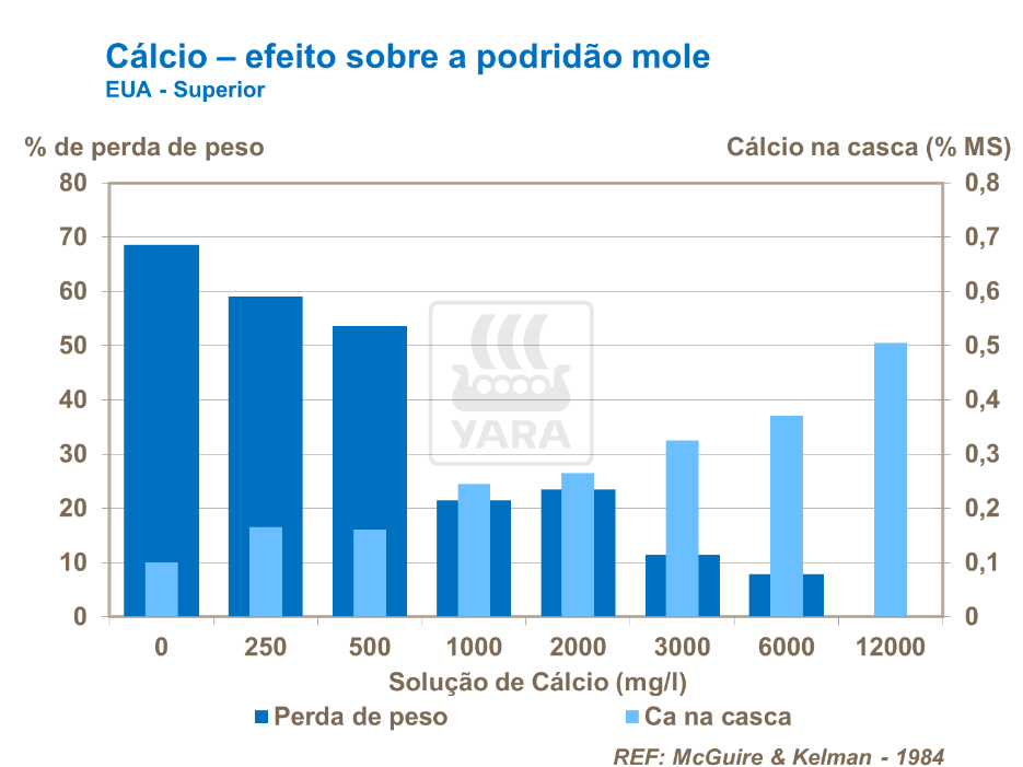 Cálcio